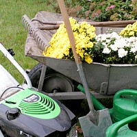 alle Dienstleistungen auf einen Blick