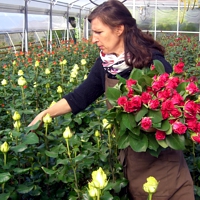 weitere Info's zur Gärtnerei